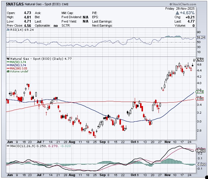 image-20251129081512-34