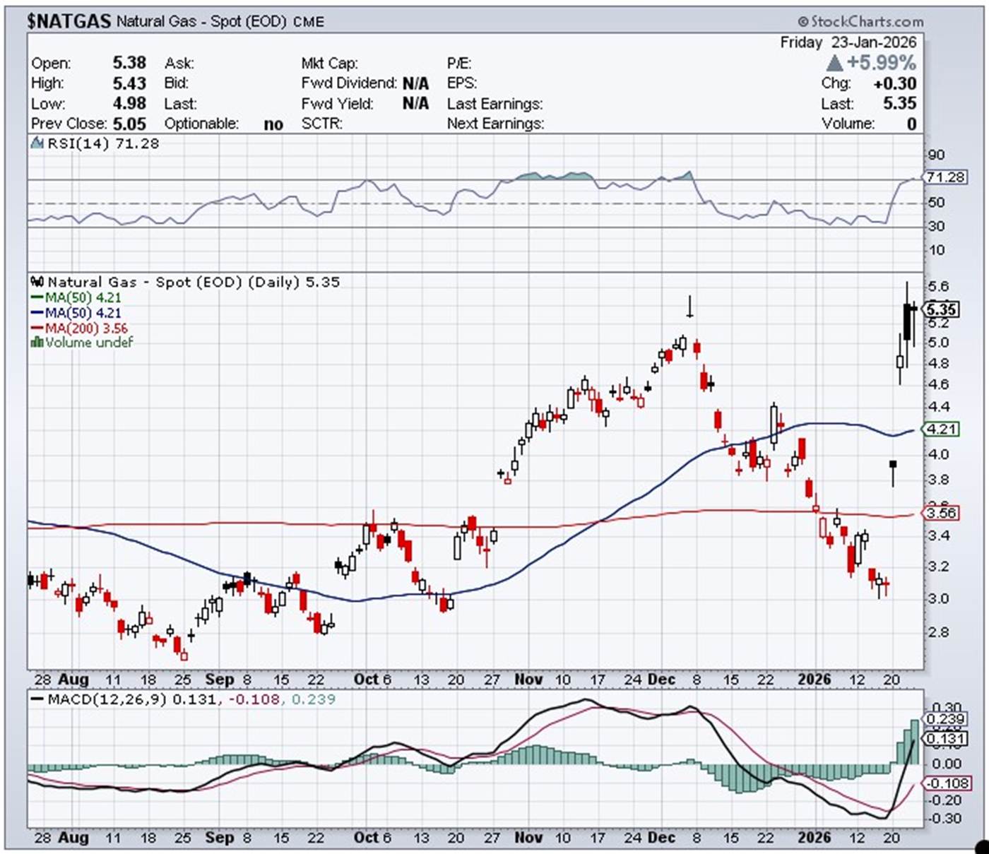 image-20260124093132-46