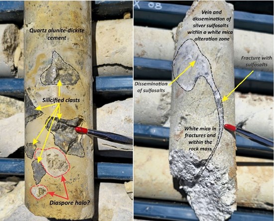 image-20260227213622-4